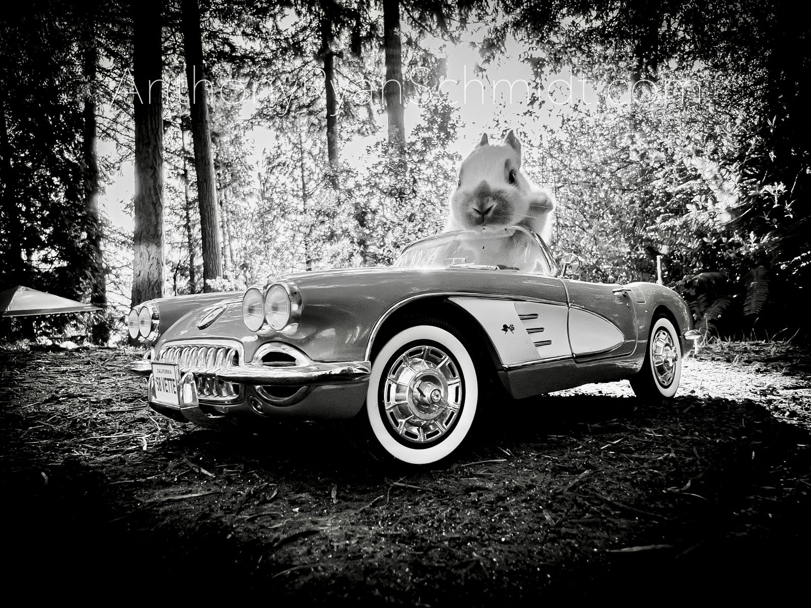 Easter Bunny in a 1958 Chevy Corvette